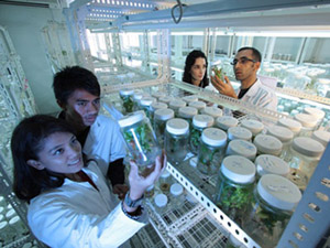 干净无广告的云拨短信app